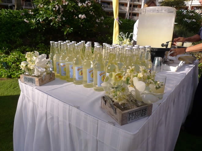 Lemonade favors