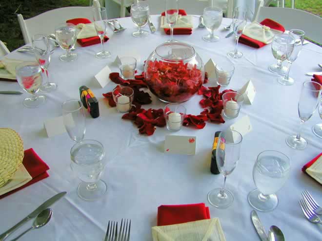 table-cameras-vow-renewal Table Cameras for a Vow Renewal
