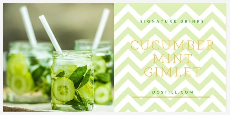 Signature Drinks—Cucumber Mint Gimlet for Your Vow Renewal