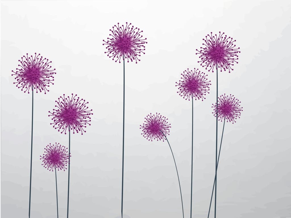 purple-blossoms Images for Invitations