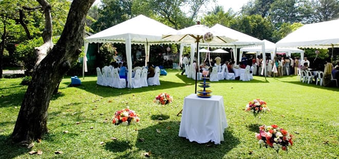 Planning a Summer Vow Renewal