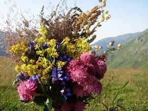 Medieval Theme Flowers