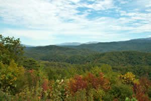 Mini Moon to the Smoky Mountains in Tennessee for Your Vow Renewal