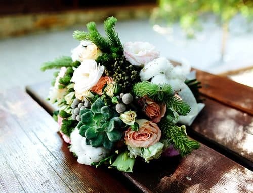 Succulents for Your Vow Renewal: Modern, Versatile, and Stunning