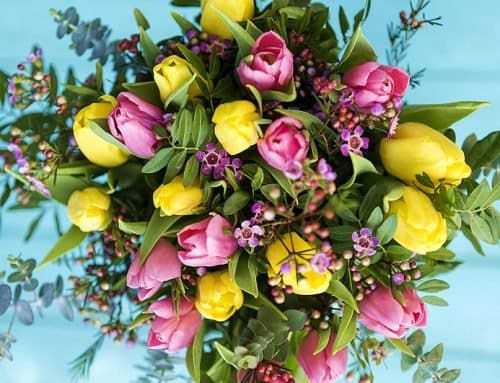 Tulips: A Symbol of Renewal for Your Vow Renewal Ceremony