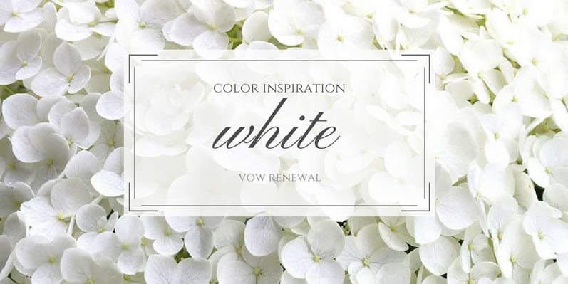 Classic White Vow Renewal Theme