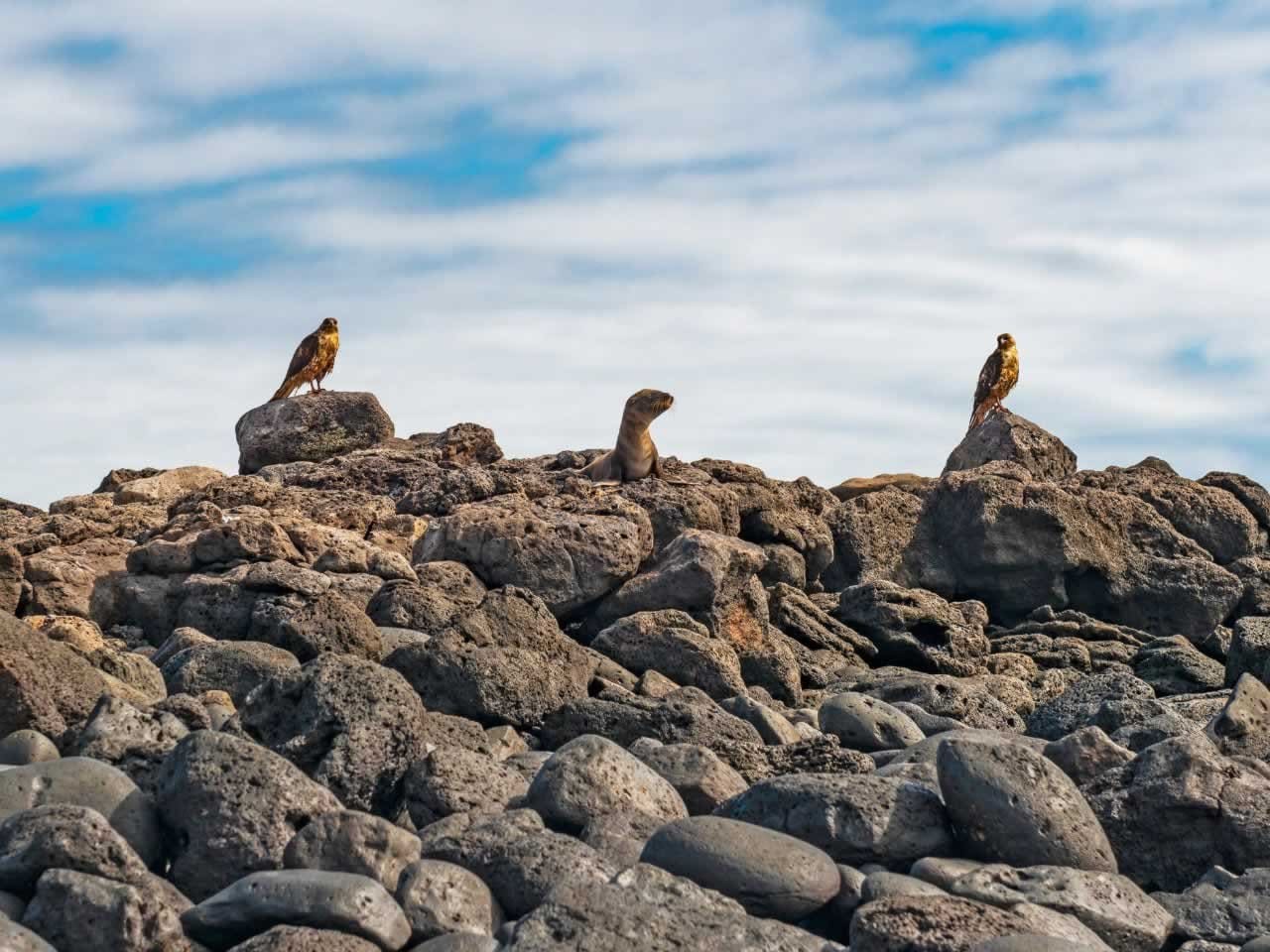 Galapagos Islands