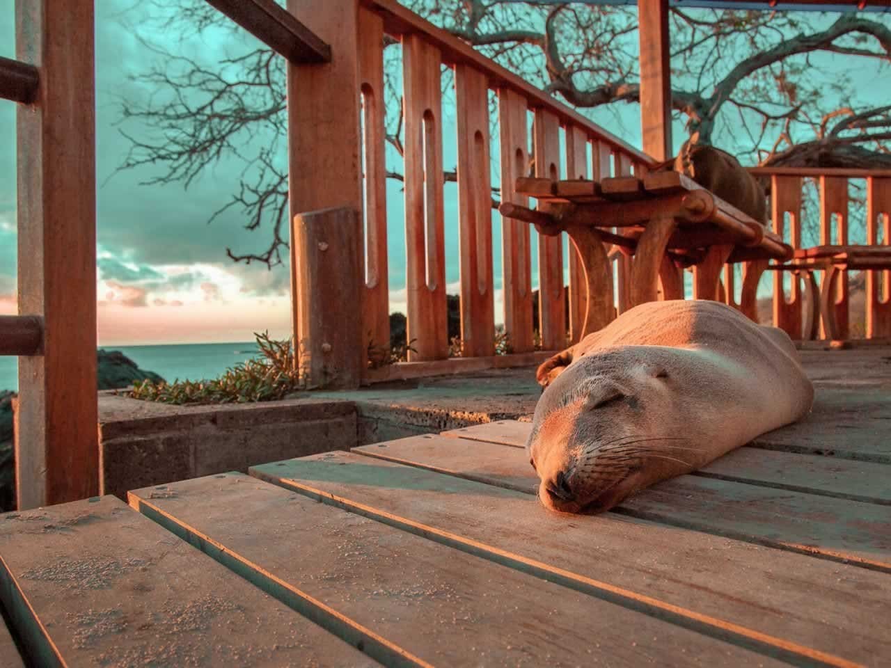 Galapagos Islands