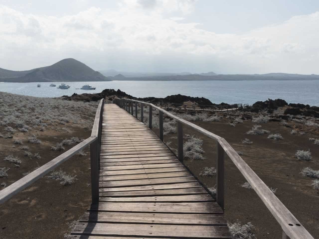 Bartalome Island Galapagos Islands