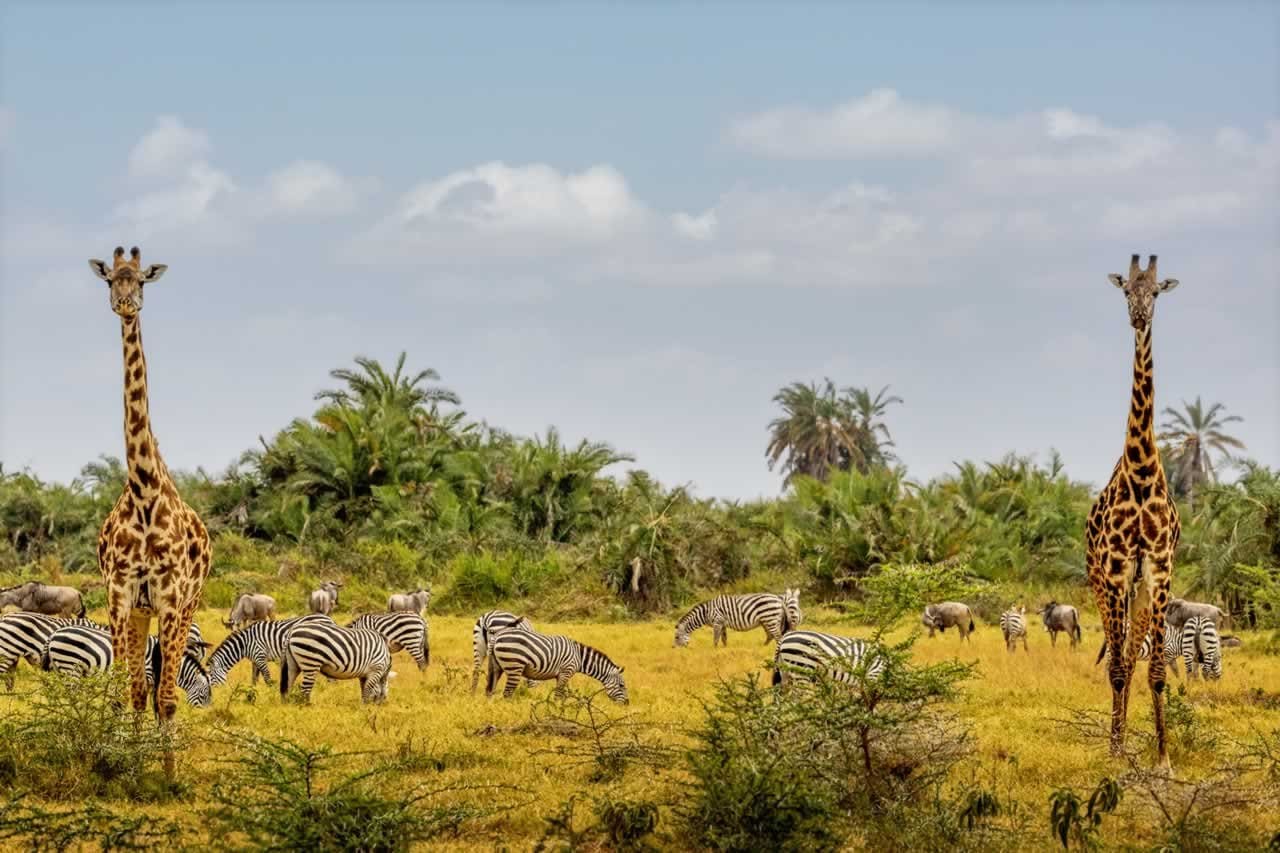 Amazing Second Honeymoon Destinations - Amboseli National Park