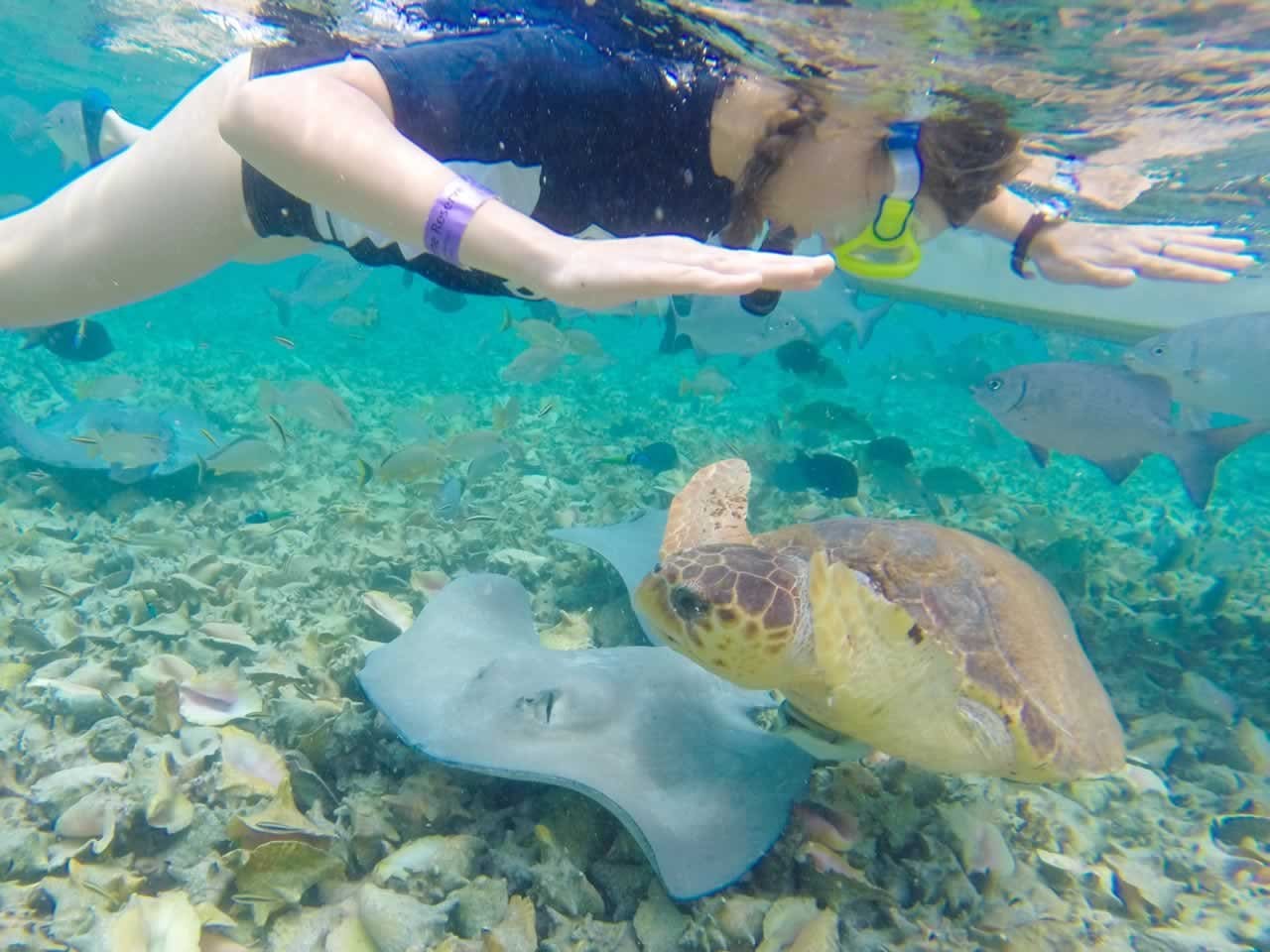 Belize Barrier Reef