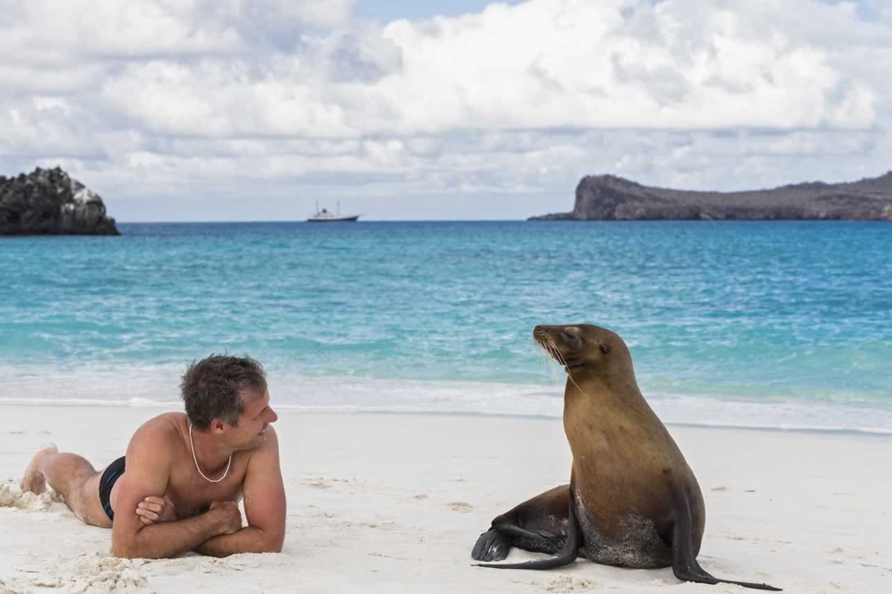 Fur seals in the Galapagos