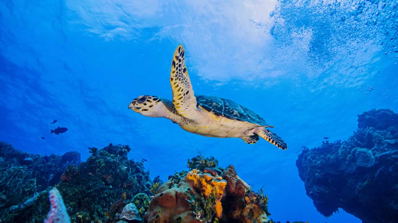 Cozumel, Mexico