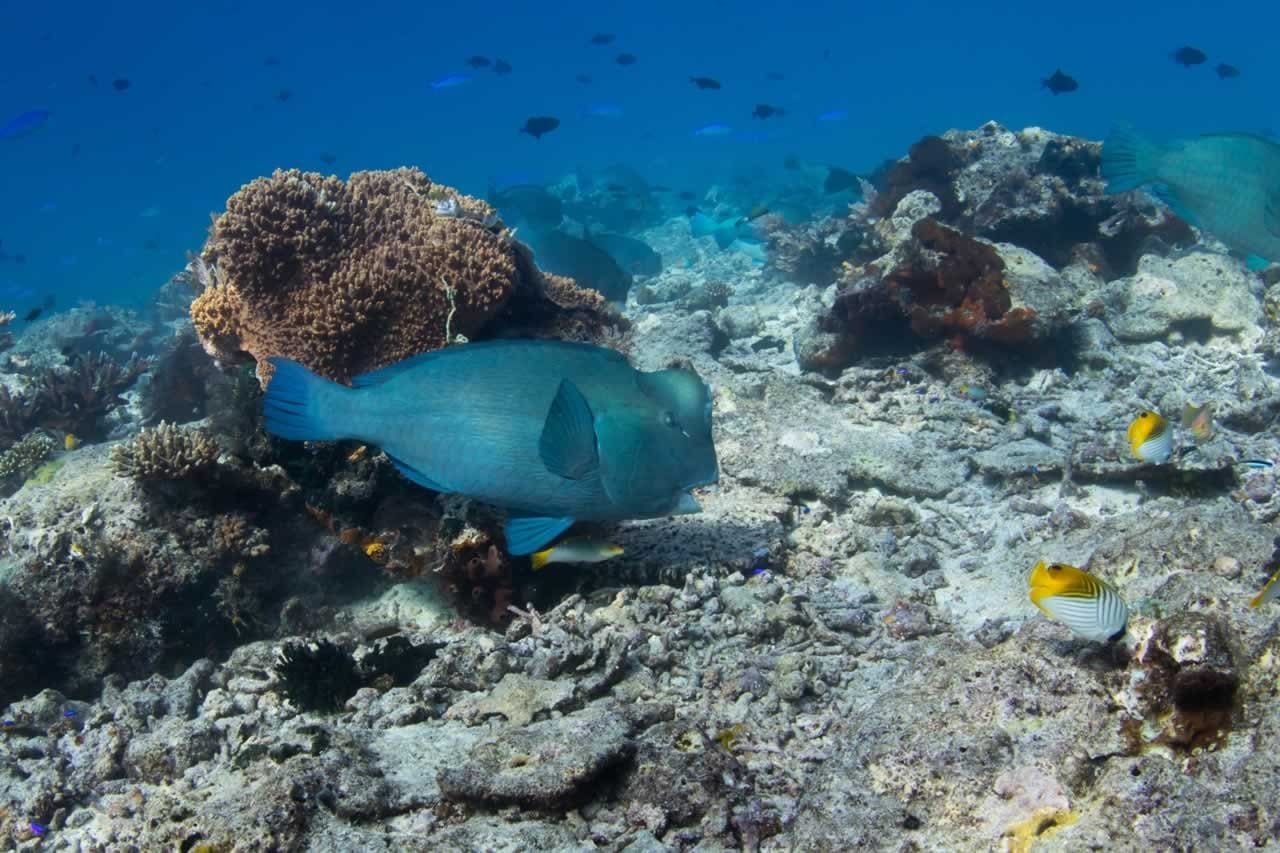 Raja Ampat, Indonesia