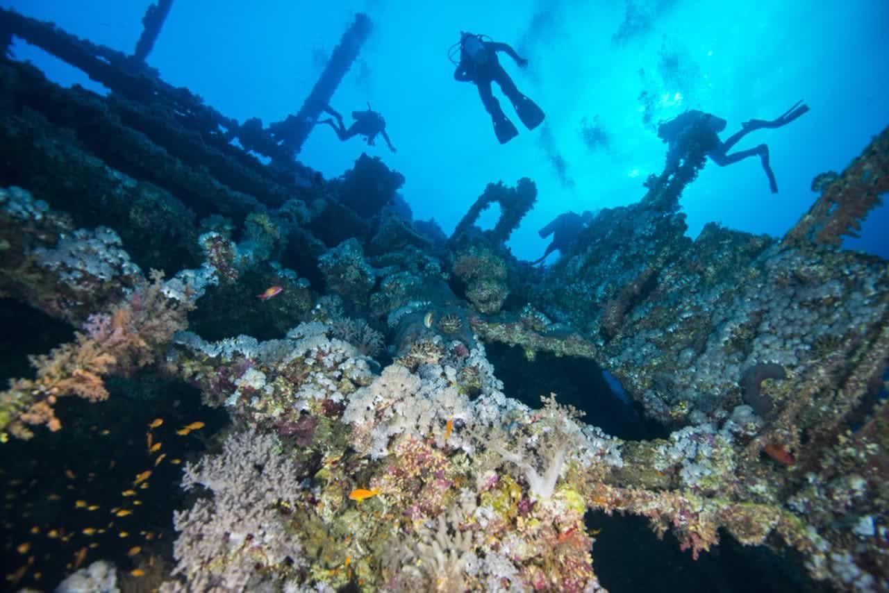 21 Scuba Diving Excursion Second Honeymoons