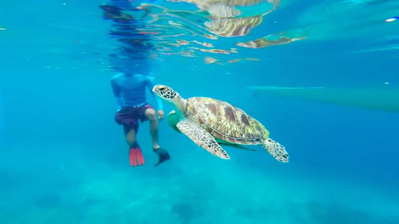 Similan Islands, Thailand