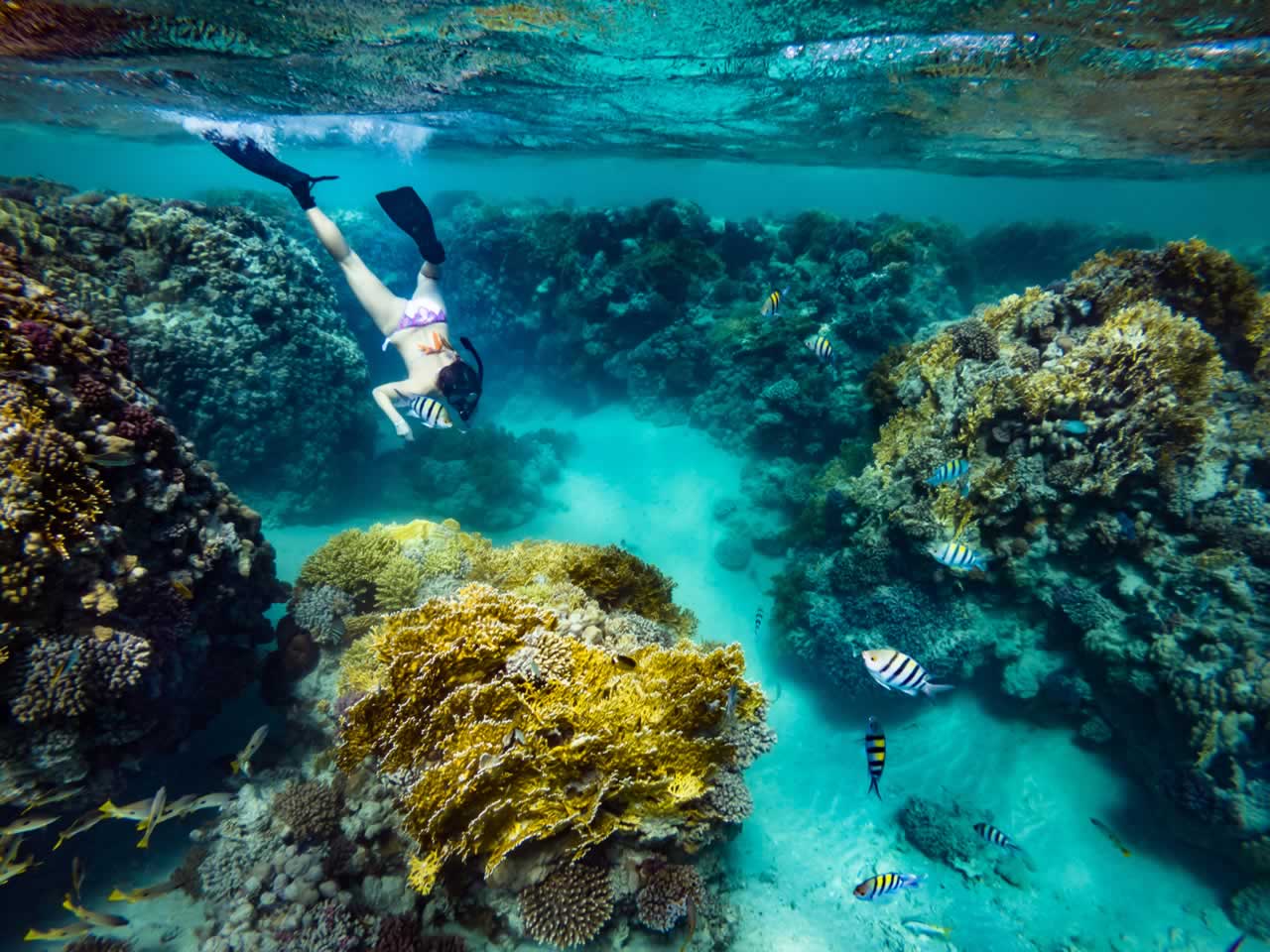 Maldives Snorkeling