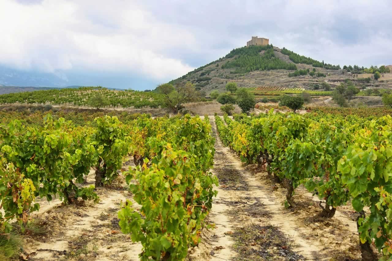 Spain’s Rioja Region: The Perfect Second Honeymoon Destination for Wine Lovers