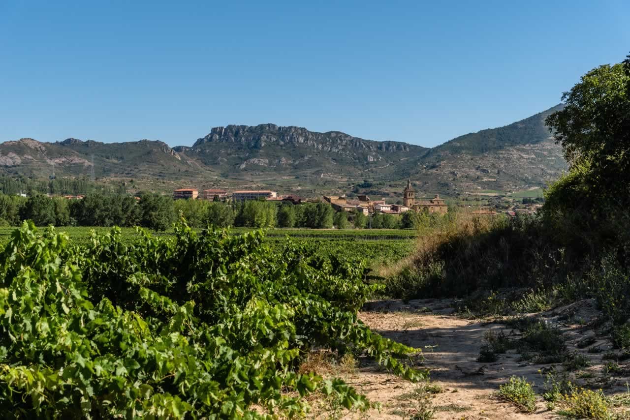 Second Honeymoon Itinerary for Wine Lovers in Spain’s Rioja Region