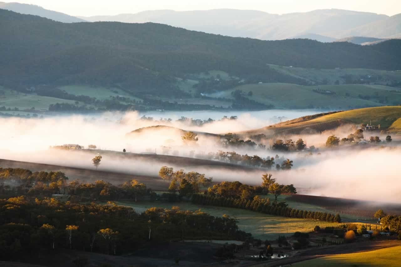 Yarra Valley Fog at Sunrise in Australia