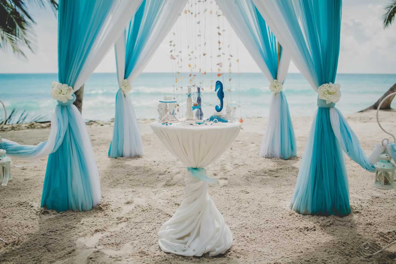 blue-white-wedding-aisle-beach-surrounded-by-palms-with-sea-background-s Beach Vow Renewal Theme: Embrace the Serenity of the Ocean with a Relaxed and Romantic Celebration