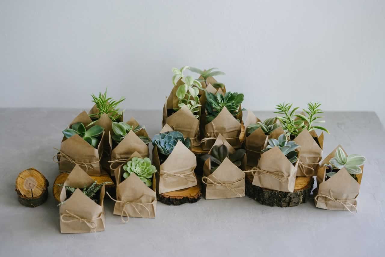 Plant-Based and Garden-Themed Favors